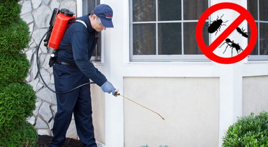 Eyyübiye Kene İlaçlama böcek ilaçlama ve haşere kontrolü — ilaclama-tr.com
